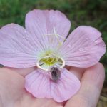"Nature details - Herkimer gyémánt" ezüst gyűrű