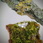 "Nature Details - Erdei nefelejts" kézzel készült ezüst gyűrű tanzanittal