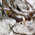 "Nature Details - Botanikus ezüst gyűrű"