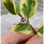 "Nature Details - Lélekszirom" - kézzel vésett ezüst gyűrű turmalinnal